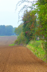 Bildbeschreibung und Urheberrecht