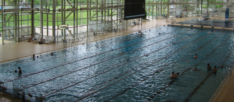 Bildbeschreibung und Urheberrecht