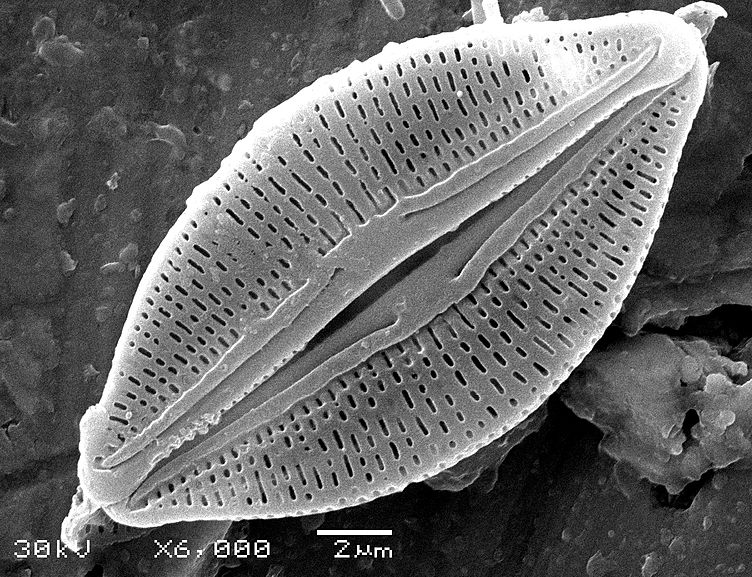 Bildbeschreibung und Urheberrecht