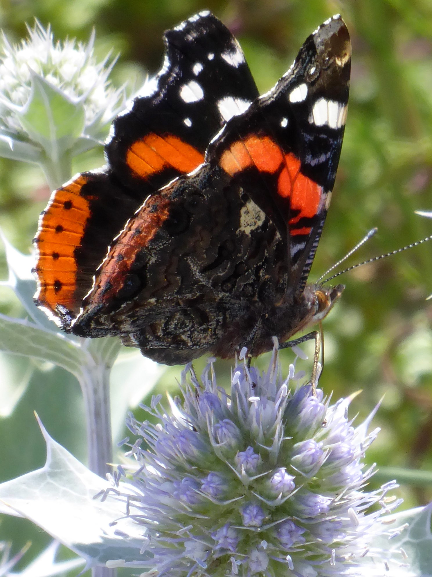 Bildbeschreibung und Urheberrecht