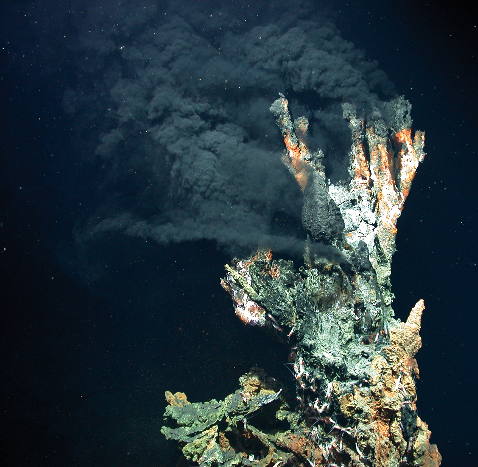 Bildbeschreibung und Urheberrecht