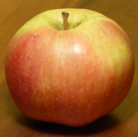 Bildbeschreibung und Urheberrecht