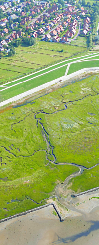 Bildbeschreibung und Urheberrecht