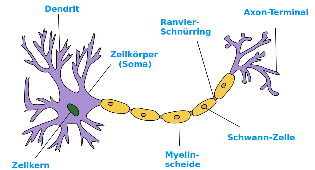Bildbeschreibung und Urheberrecht