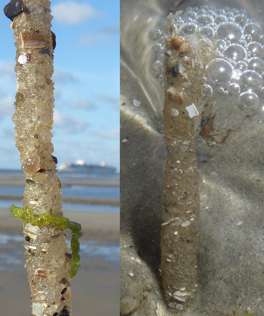 Bildbeschreibung und Urheberrecht