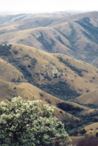 Bildbeschreibung und Urheberrecht