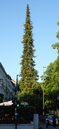 Bildbeschreibung und Urheberrecht