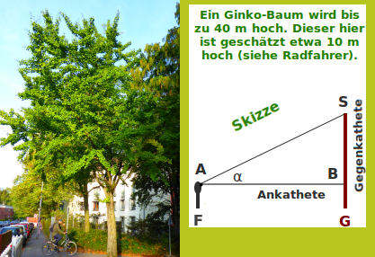 Bildbeschreibung und Urheberrecht