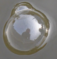 Bildbeschreibung und Urheberrecht