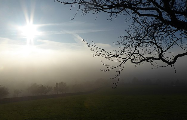 Bildbeschreibung und Urheberrecht