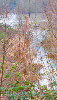 Bildbeschreibung und Urheberrecht