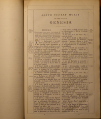 Bildbeschreibung und Urheberrecht