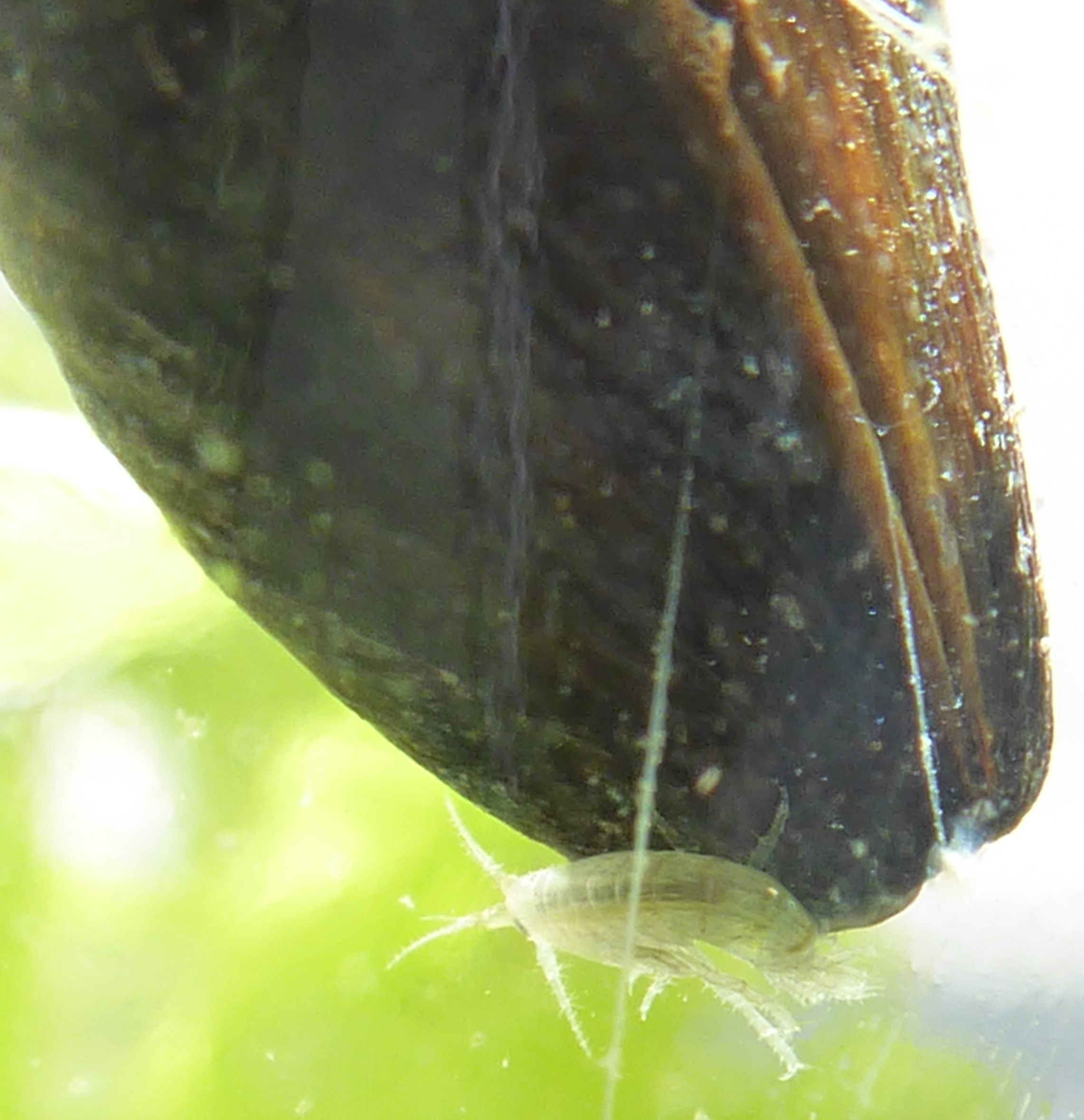 Bildbeschreibung und Urheberrecht