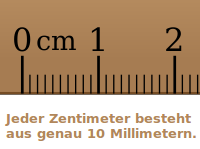 Bildbeschreibung und Urheberrecht