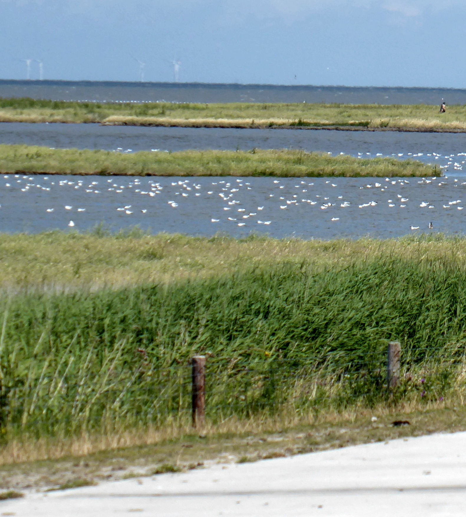 Bildbeschreibung und Urheberrecht