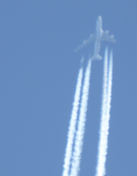 Bildbeschreibung und Urheberrecht