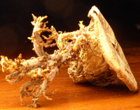 Bildbeschreibung und Urheberrecht