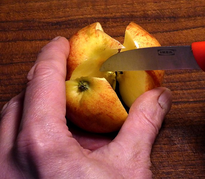 Bildbeschreibung und Urheberrecht