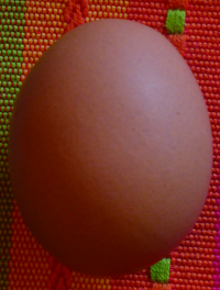 Bildbeschreibung und Urheberrecht