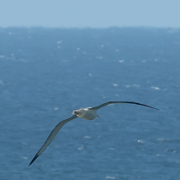 Bildbeschreibung und Urheberrecht
