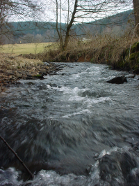 Bildbeschreibung und Urheberrecht