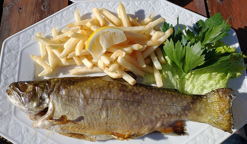 Bildbeschreibung und Urheberrecht