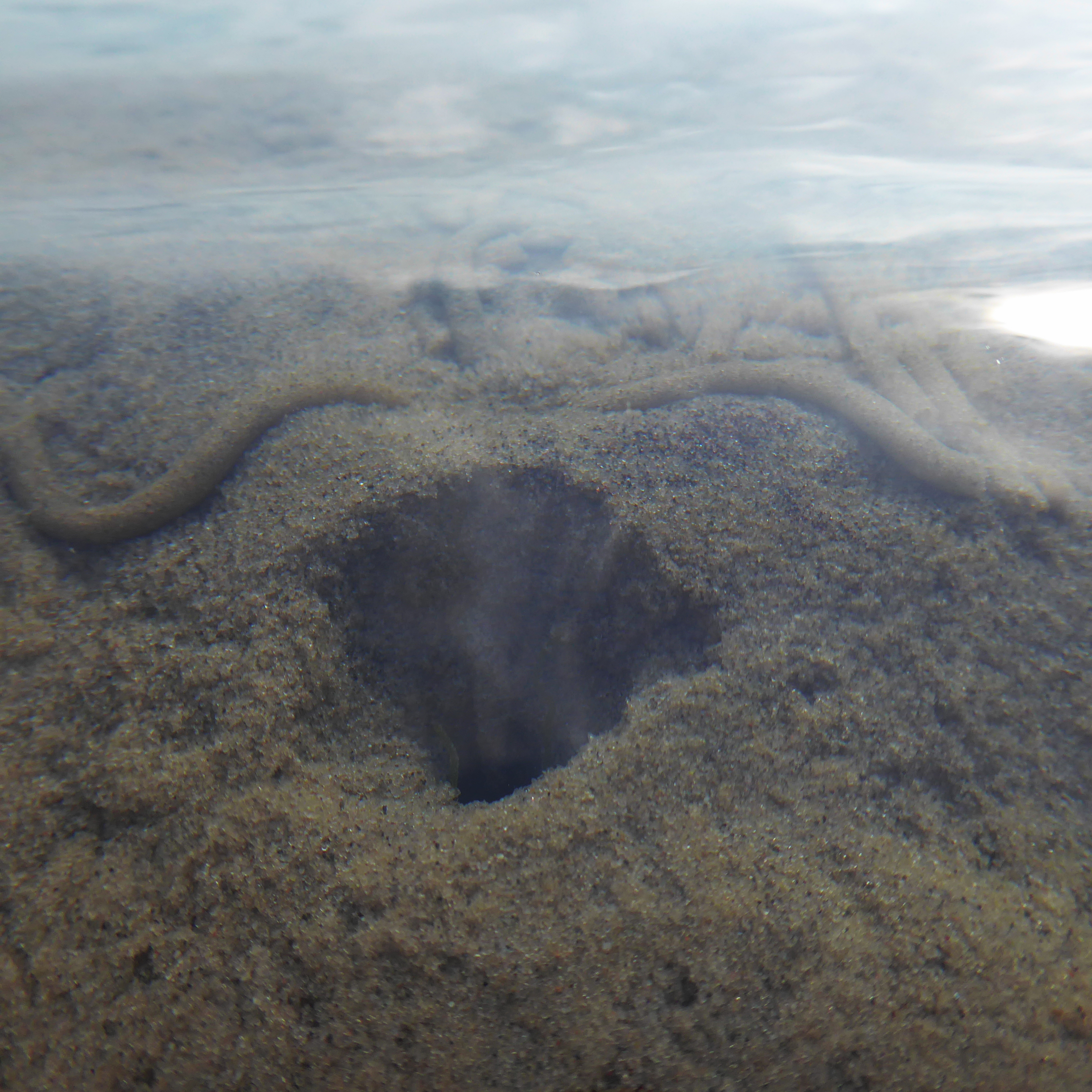 Bildbeschreibung und Urheberrecht