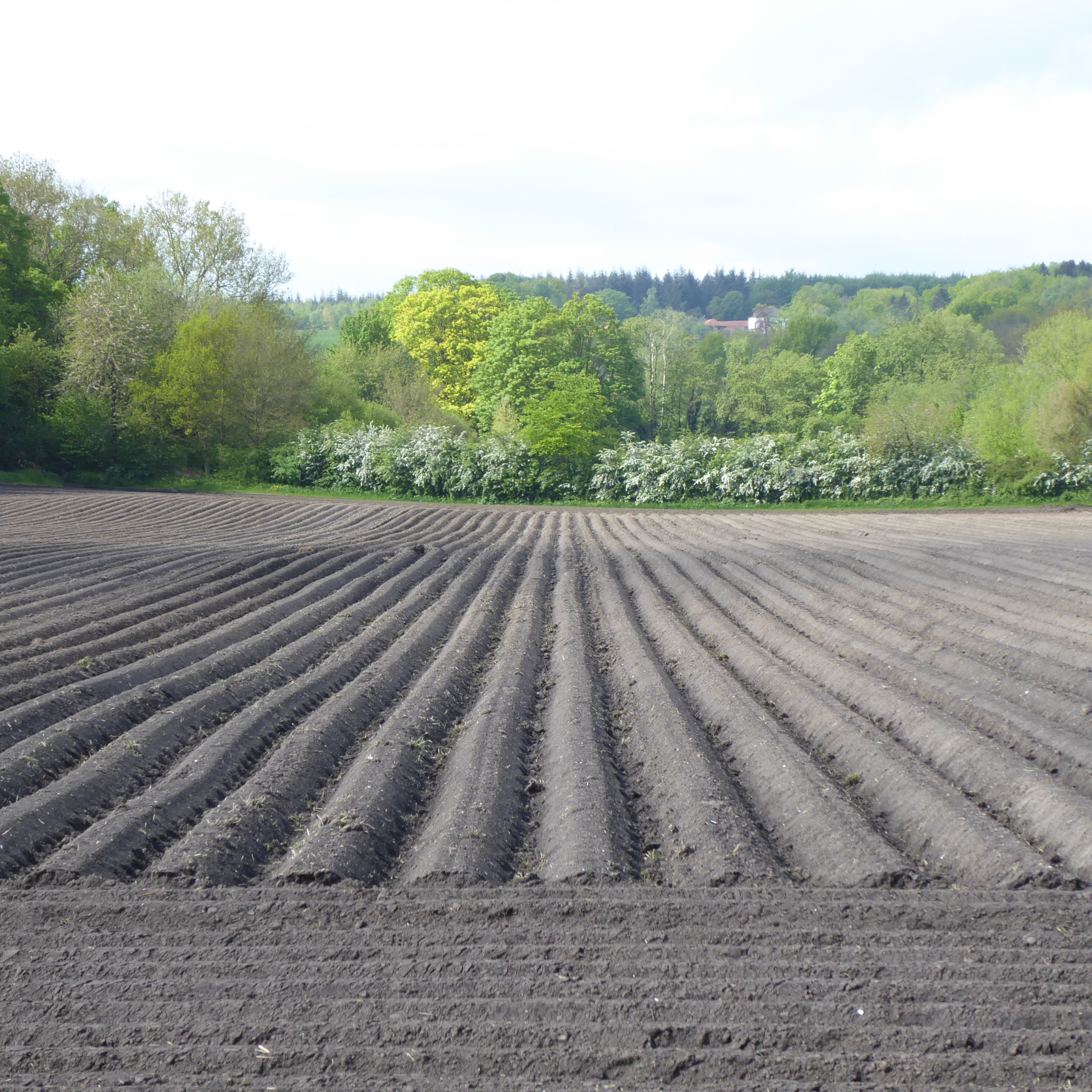 Bildbeschreibung und Urheberrecht