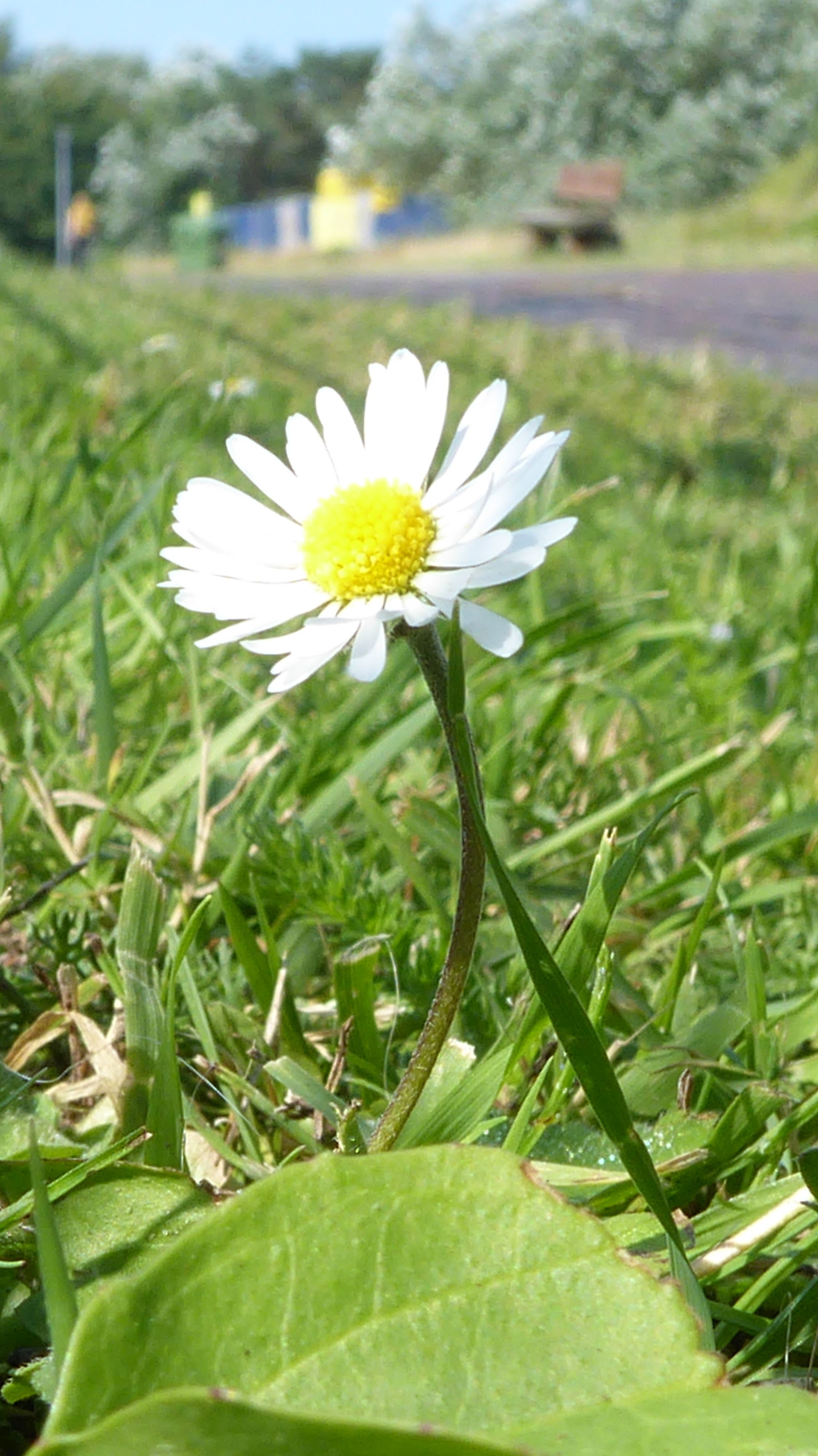 Bildbeschreibung und Urheberrecht