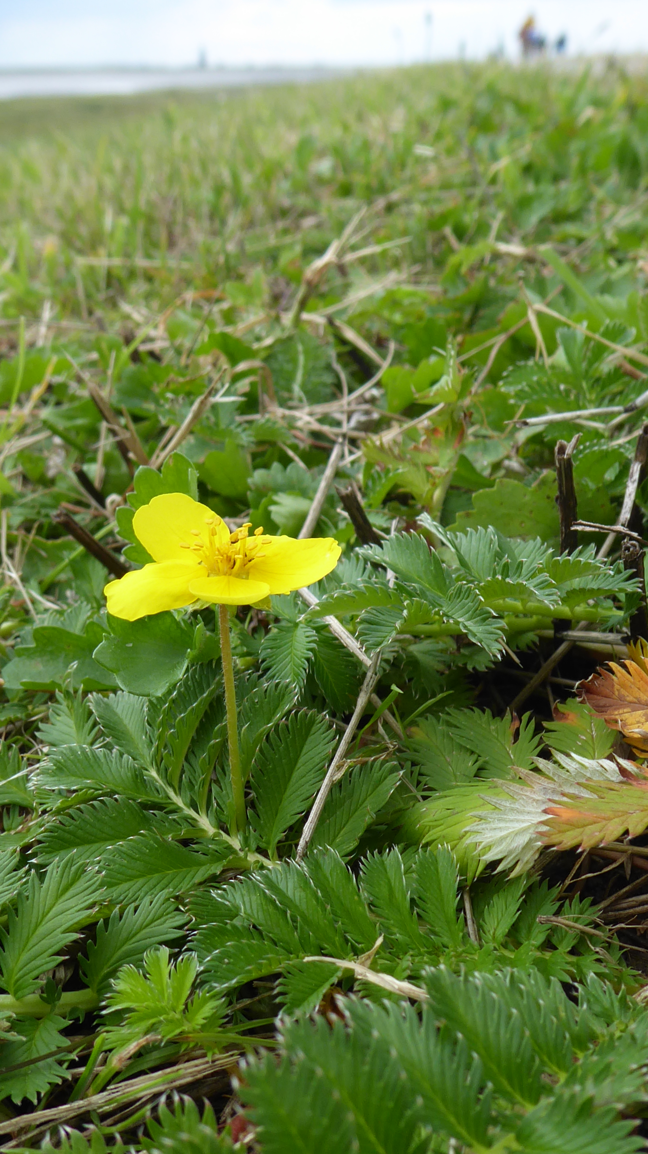 Bildbeschreibung und Urheberrecht