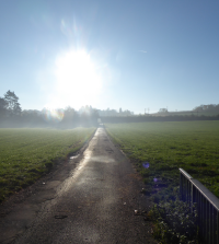 Bildbeschreibung und Urheberrecht