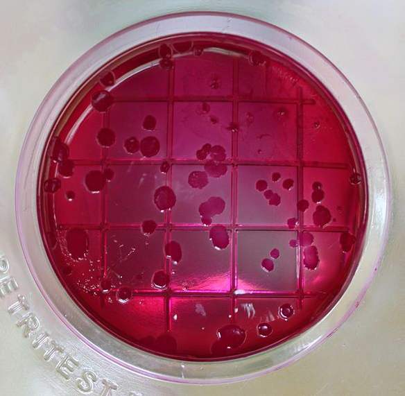 Bildbeschreibung und Urheberrecht