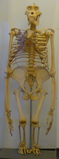 Bildbeschreibung und Urheberrecht