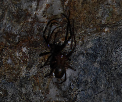 Bildbeschreibung und Urheberrecht