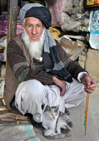 Bildbeschreibung und Urheberrecht