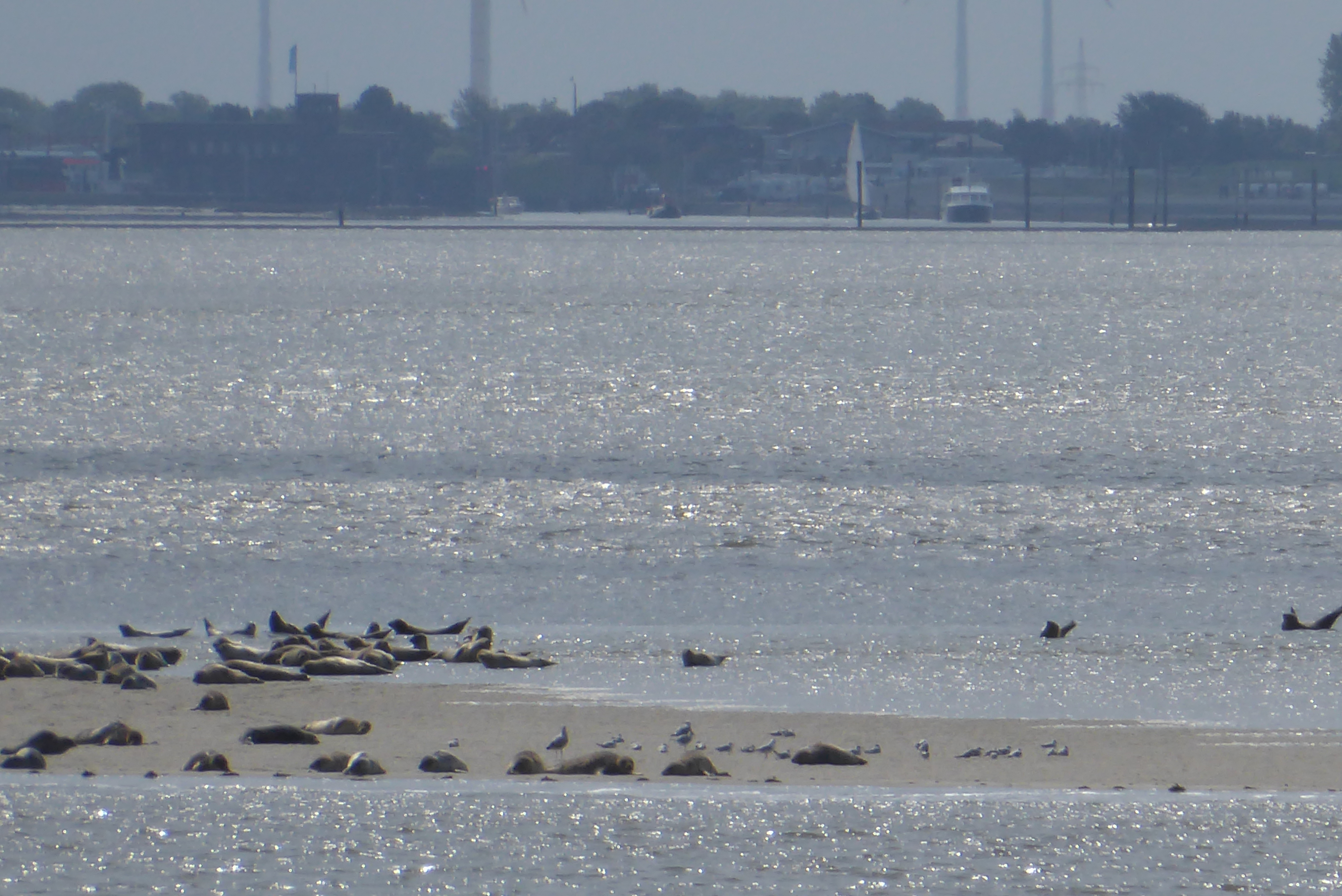 Bildbeschreibung und Urheberrecht