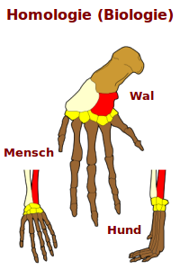 Bildbeschreibung und Urheberrecht