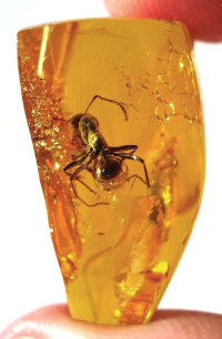 Bildbeschreibung und Urheberrecht