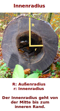 Bildbeschreibung und Urheberrecht