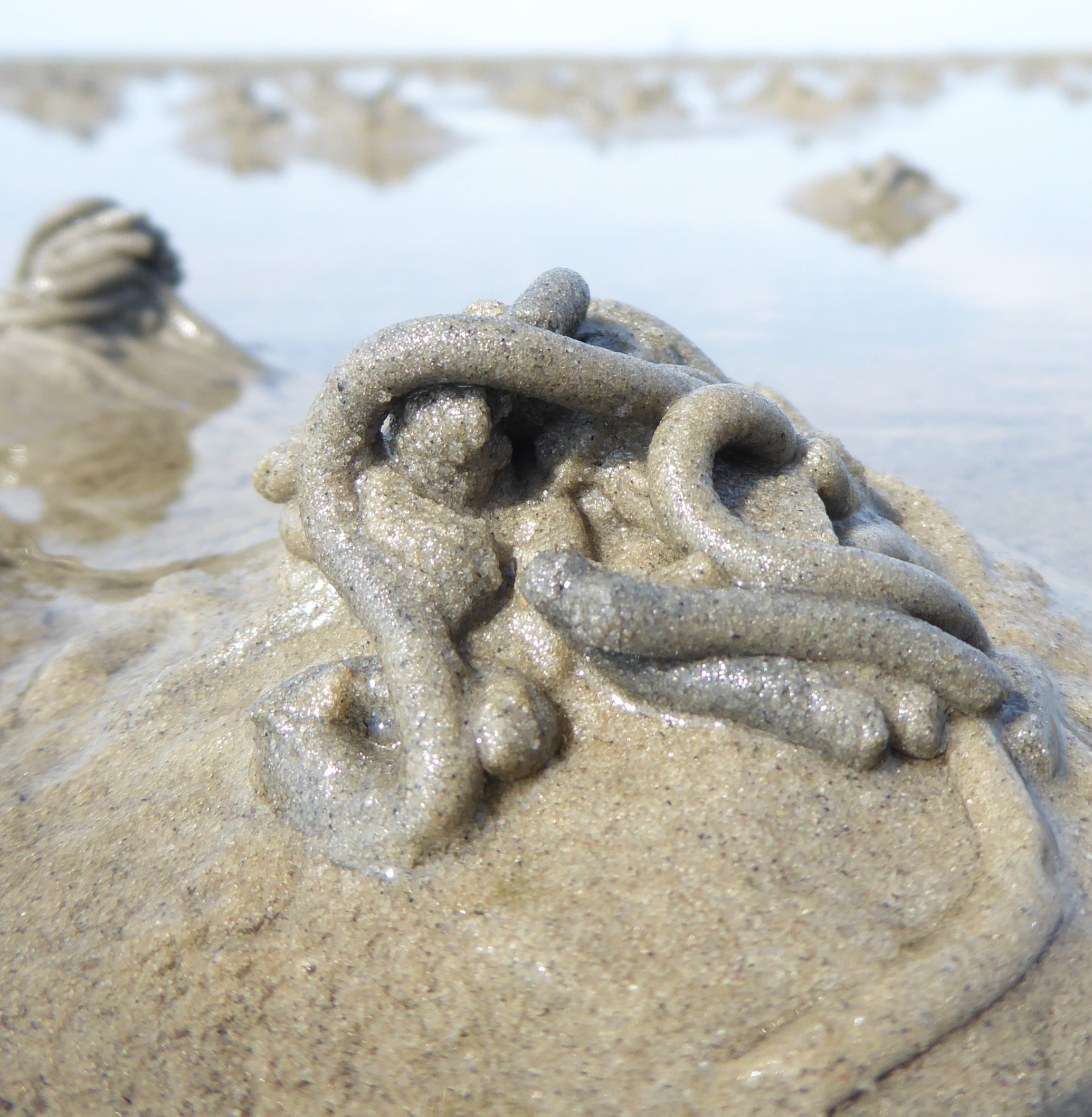 Bildbeschreibung und Urheberrecht