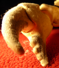 Bildbeschreibung und Urheberrecht