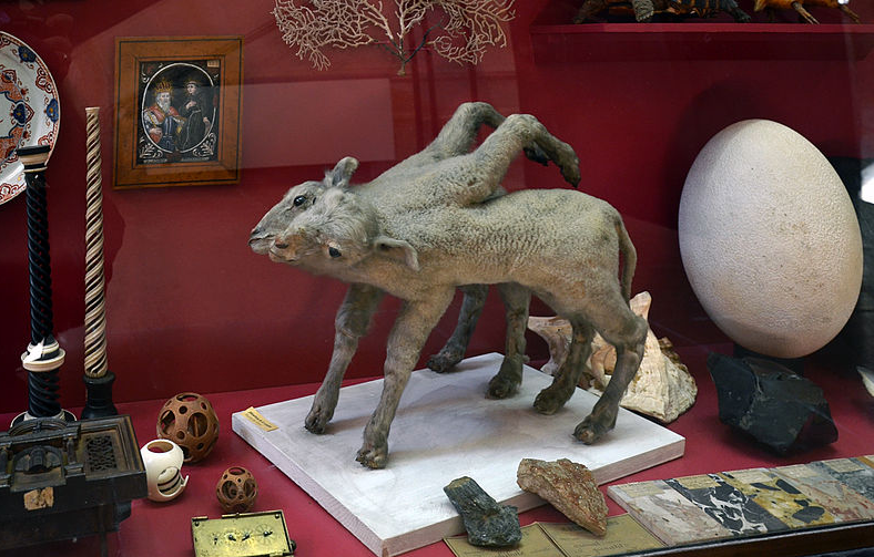 Bildbeschreibung und Urheberrecht