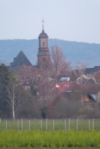 Bildbeschreibung und Urheberrecht