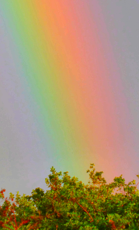 Bildbeschreibung und Urheberrecht