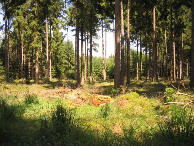 Bildbeschreibung und Urheberrecht