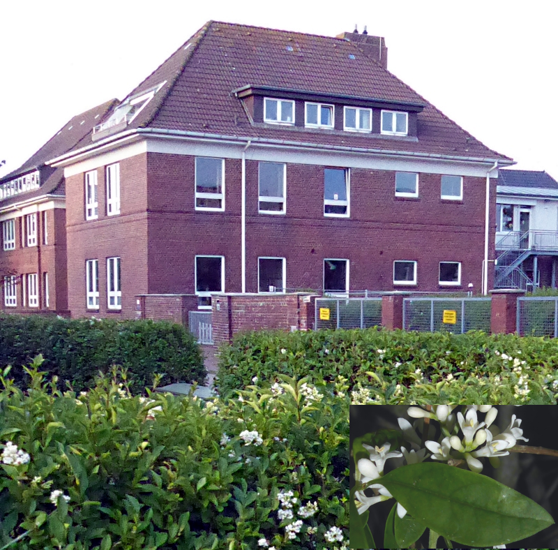 Bildbeschreibung und Urheberrecht