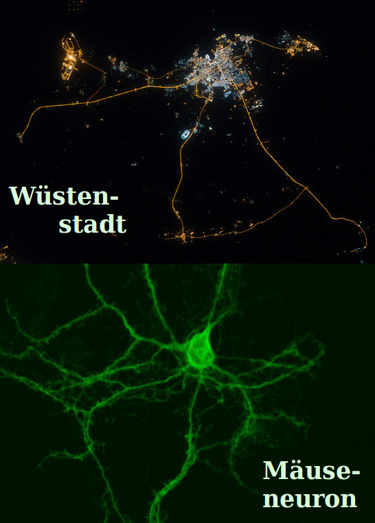 Bildbeschreibung und Urheberrecht