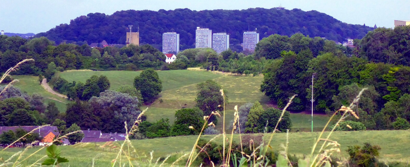 Bildbeschreibung und Urheberrecht