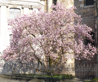 Bildbeschreibung und Urheberrecht