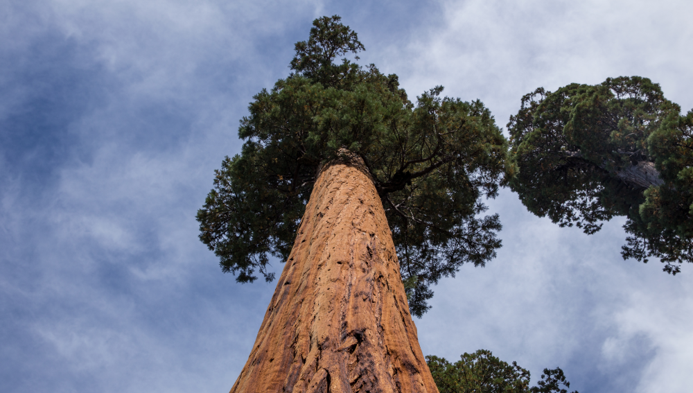 Bildbeschreibung und Urheberrecht